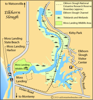 Elkhorn Slough Kayak Map Elkhorn Slough - California's Best Beaches - Mobile