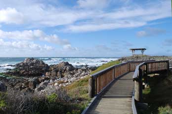 Asilomar State Beach And Coast Trail