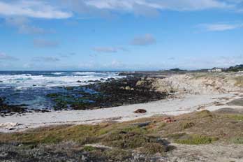 Asilomar State Beach, Monterey, CA