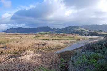 Carmel River State Beach Natural Preserve, CA