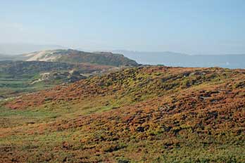 Fort Ord Dunes State Park, CA