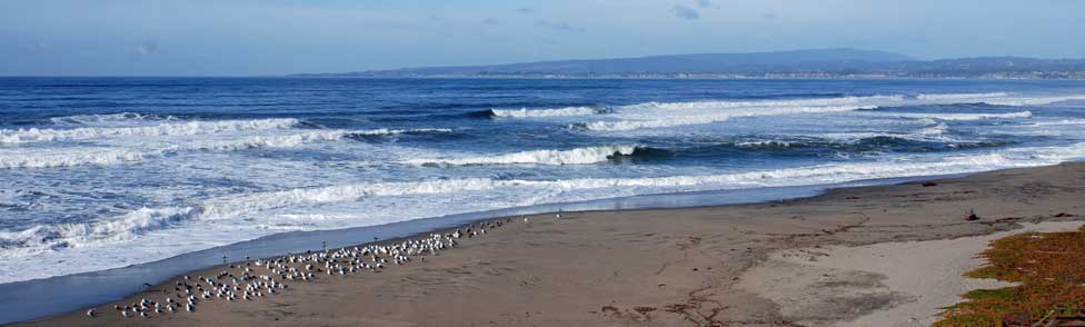 <Manresa Beach, Santa Cruz County, California