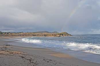 Monastery Beach California S Best Beaches
