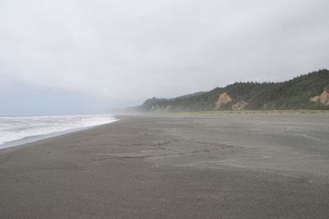 Gold Bluffs Beach, Prairie Creek Redwoods National Park, Humboldt County, CA