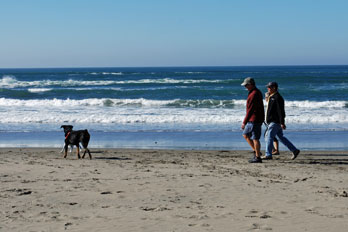Dogs and people on Dillon Beach, Marin County, CA
