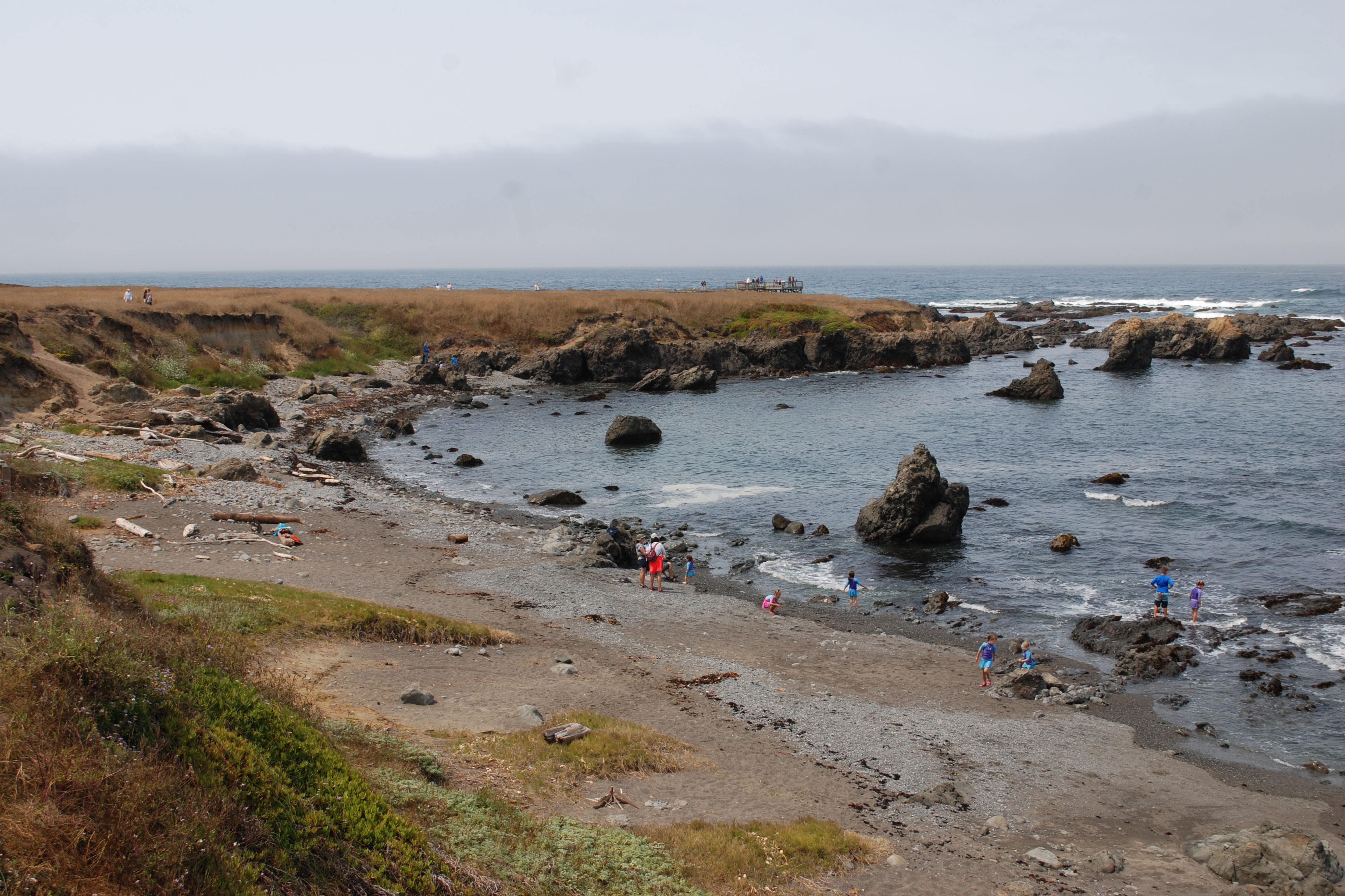 Laguna Point at MacKerricher State Park, Mendocino County, CA