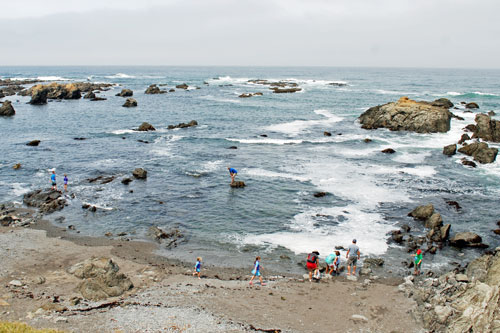 MacKerricher State Park tide pools, Mendocino County, CA