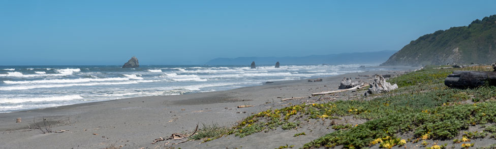 Gold Bluffs Beach, Humboldt County, California