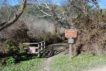 Theodore J. Hoover Natural Preserve Marsh Trail, Santa Cruz County, CA