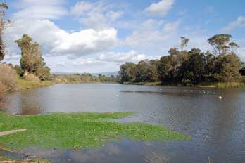 Schwan Lake, Twin Lakes State Beach, Santa Cruz, CA