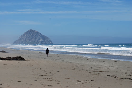 Morro Strand Beach, Morro Bay, CA