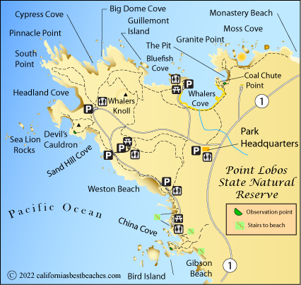 Point Lobos State Natural Reserve