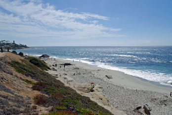 Windansea Beach, La Jolla, CA