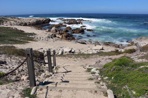 Asilomar State Beach, Monterey, CA