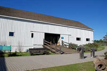 Dickerman barn, Ano Nuevo, CA