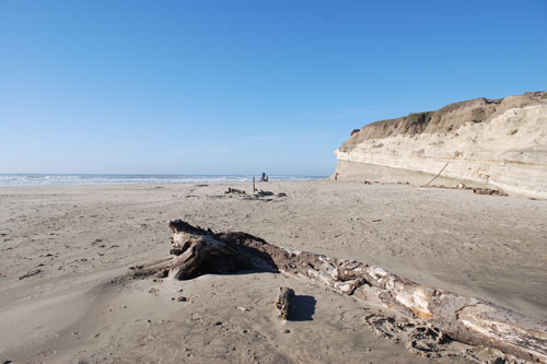 San Gregorio Beach, San Mateo County, CA