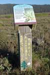 Sequoia Audubon Trail, Pescadero Marsh Natural Area, San Mateo County, CA