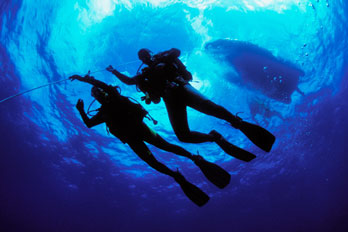 scuba divers